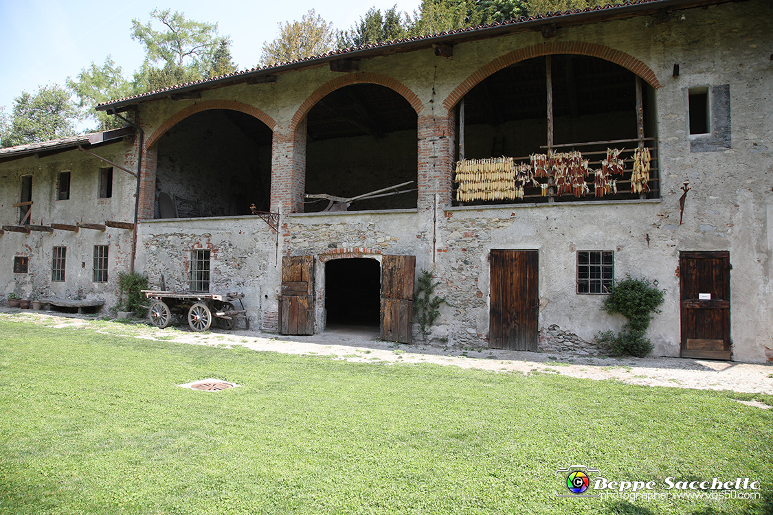VBS_1465 - Castello di Miradolo - Mostra Oltre il giardino l'Abbecedario di paolo Pejrone.jpg